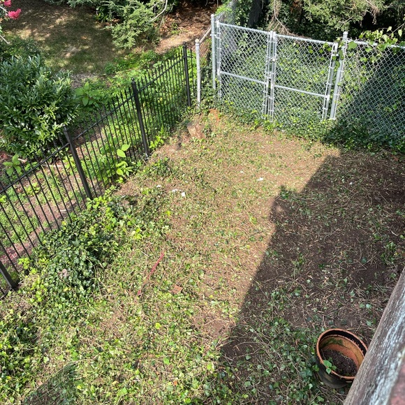 Lgsservices.org - Picture 16 of 16